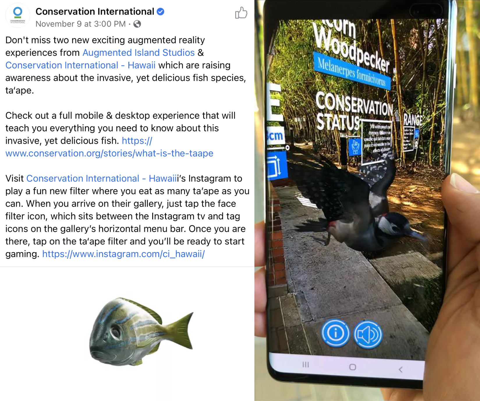 Augmented Reality and Virtual Reality: A Game-Changer for Environmental ...